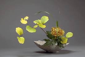 Ikebana-Picture-IV